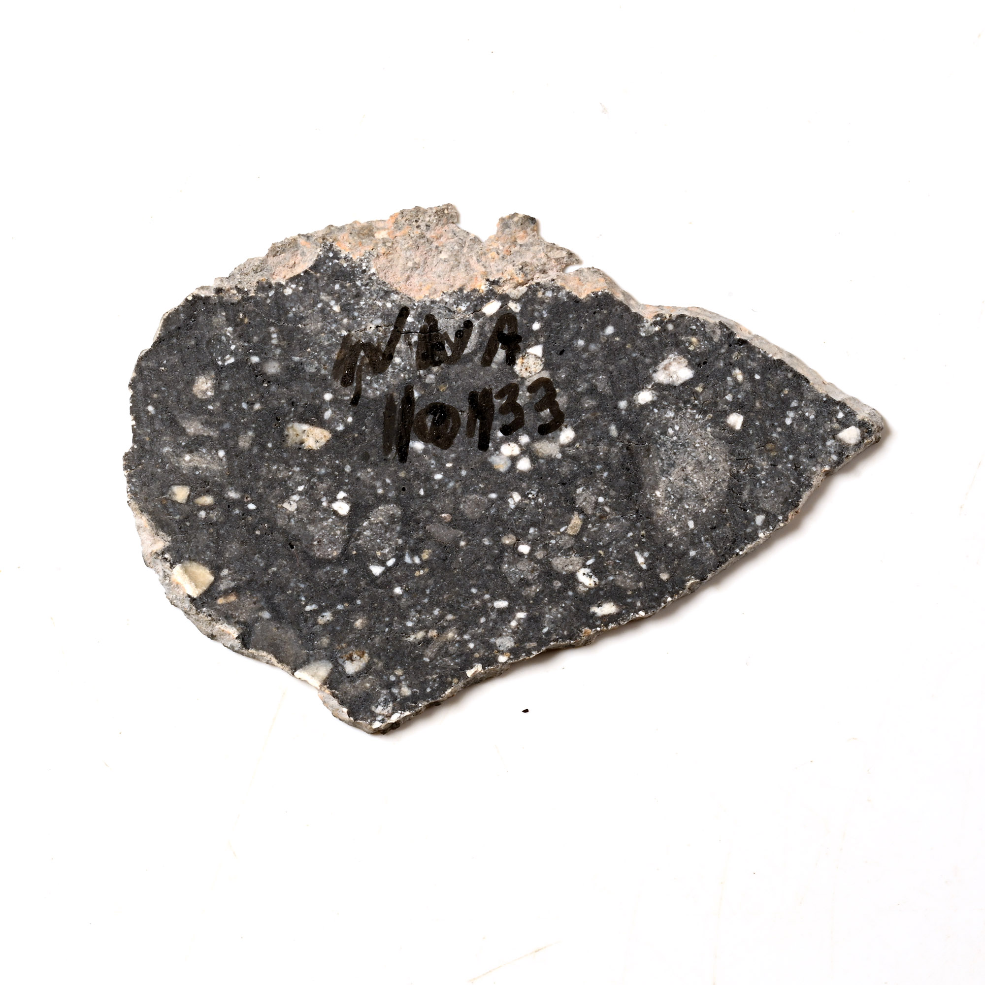 Natural History - Lunar NWA 10133 Meteorite Slice